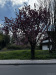 altes_land00006