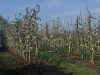 altes_land00008
