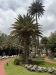 GC2026_00011
