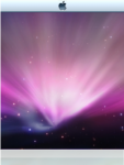 leo_theme_n