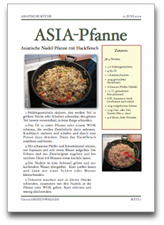 ASIA-NUDEL-PFANNE