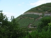 breisgau2014_01