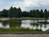 IMG_6742