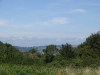 DSC03153