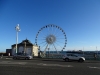 DSC03233