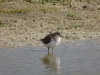 DSC00907