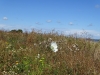 DSC01182