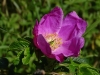 DSC01209