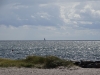 DSC01218