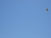 DSC01565