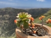 GranCanaria_2022_00009