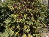 GranCanaria_2022_00011