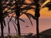 GC2024_00023