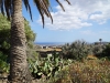 GranCanaria_2018_70